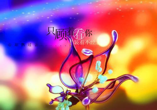 毛绮悦彭谨年全文免费阅读(毛绮悦彭谨年)全文免费阅读无弹窗大结局_毛绮悦彭谨年免费阅读最新章节列表（毛绮悦彭谨年）