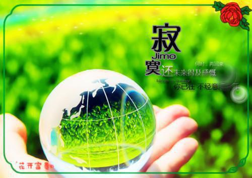 重生奋斗之媳妇的致富经最新章节_重生奋斗之媳妇的致富经全文免费阅读