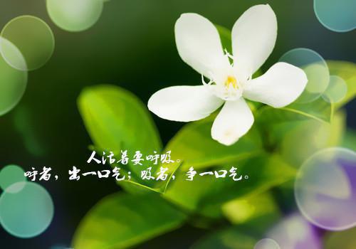 高级文员个人简历范文
