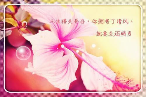 内帐会计求职简历范文