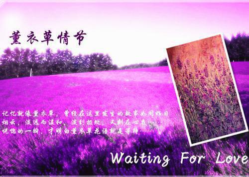不要等失去后再后悔留恋的伤感日志大全