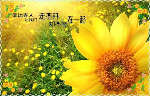 人生一生中必读的智慧书籍分享
