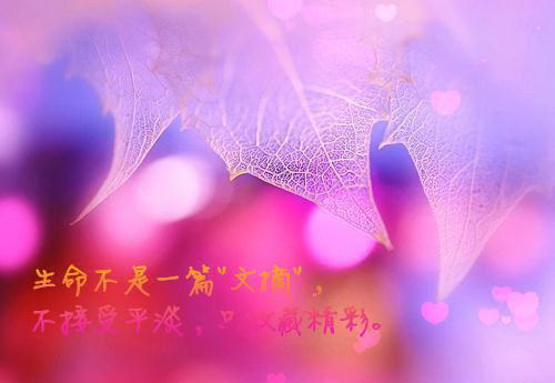 梦晚动容:星野动容全文免费阅读（梦晚动容:星野动容小说）全文在线江珩徐文阅读无弹窗大结局_（江珩徐文全文在线江珩徐文阅读无弹窗）梦晚动容:星野动容小说最新章节列表（江珩徐文）