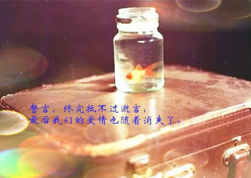 傲娇国士（楚阳林清雪）全文免费阅读无弹窗大结局_(傲娇国士免费阅读全文大结局)傲娇国士最新章节列表（楚阳林清雪）