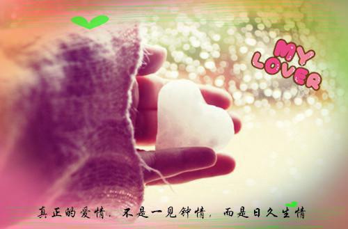 创新塑造成功的议论文