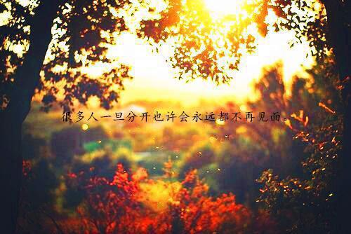 职场中的超级箴言