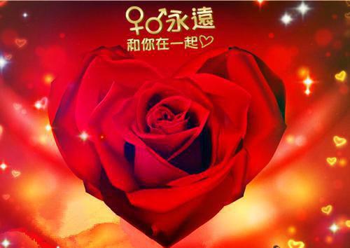 冷漠老母（苏柔儿顾之歧)全文免费阅读无弹窗大结局_冷漠老母（苏柔儿顾之歧）