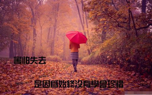 2023应聘行政文员简历范文