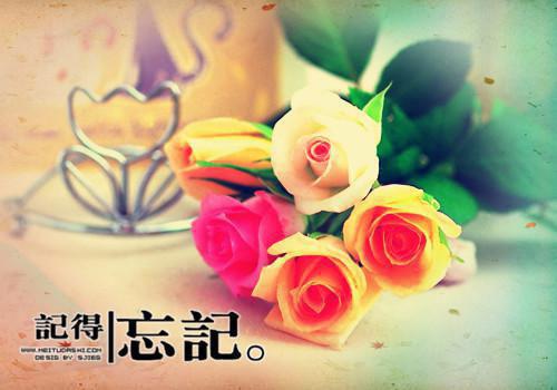 黎染江拓(依恋翻滚知乎)全文在线阅读无弹窗大结局_(黎染江拓依恋翻滚知乎)黎染江拓在线阅读无弹窗最新章节列表(依恋翻滚知乎)