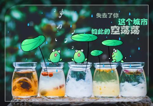 会计大专个人简历范文