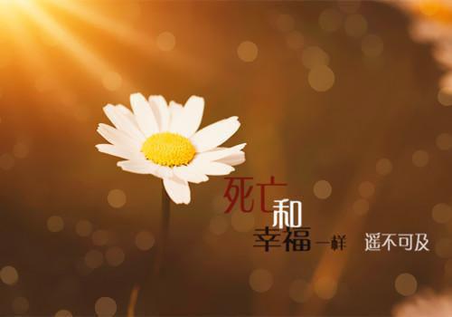 有什么好听励志感人的歌