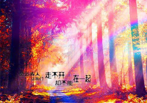 手撕冒充我身份的游戏大神最新章节_手撕冒充我身份的游戏大神全文免费阅读