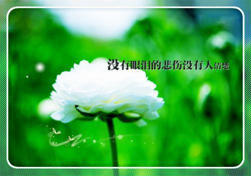 二年级教学成语故事