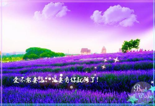 积极人生感悟文章选