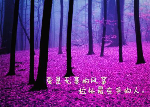 餐厅优秀服务案例服务案例