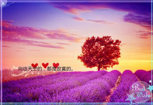 女性励志电影