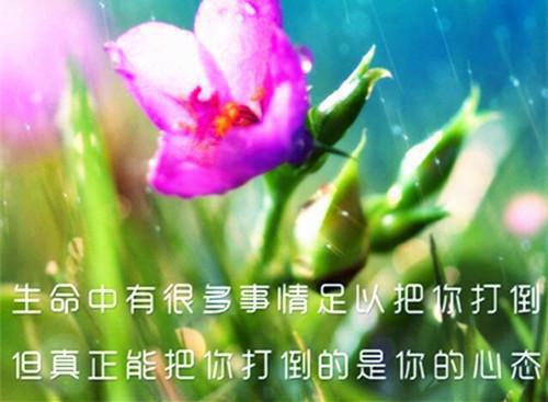 遇凤不详最新章节_遇凤不详全文免费阅读