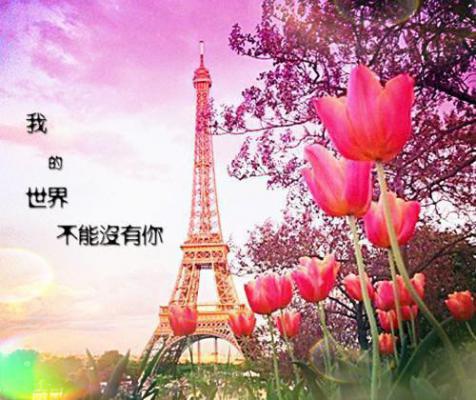 医仙圣手最新章节_医仙圣手全文免费阅读