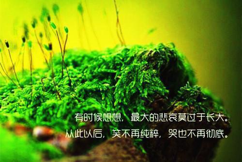 祝纾妍魏子宸(祝纾妍魏子宸)全文免费祝纾妍魏子宸读无弹窗大结局_ 祝纾妍魏子宸无弹窗最新章节列表