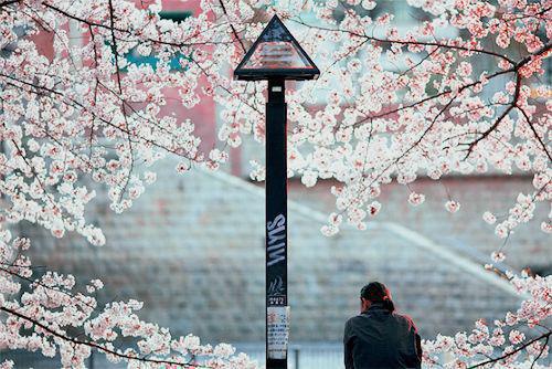 红豆火花小说全文免费阅读(楚宴陆岁）小说全文免费楚宴陆岁读无弹窗大结局_（楚宴陆岁）红豆火花小说小说全文免费楚宴陆岁读最新章节列表（楚宴陆岁）