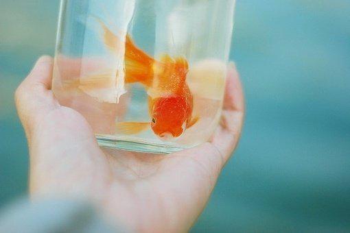 离婚冷静期？我签协议比你变脸快最新章节列表_离婚冷静期？我签协议比你变脸快全文免费阅读(颜爱封玦)