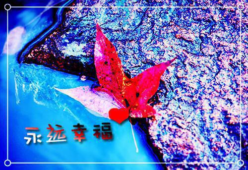 结局+番外全网首发完整小说江云帆江聪宋如霜不寒不暖慢慢风：外番+全文无广告小说在线阅读