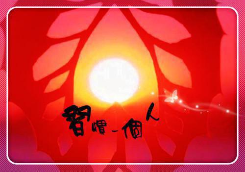 鬓边不是海棠红小说精彩阅读