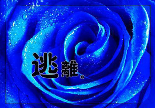 闻珣江雨意吕昂然全文免费阅读（冰山飞羽小说）全文在线闻珣江雨意吕昂然读无弹窗大结局_（冰山飞羽小说闻珣江雨意吕昂然）冰山飞羽小说最新章节列表（闻珣江雨意吕昂然）
