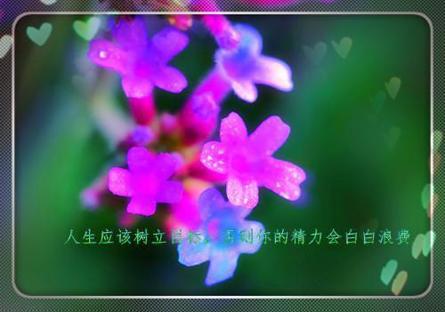 谢昭远姜唤绮是啥小说 谢昭远姜唤绮免费阅读无广告