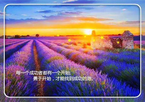 (番外)+(全文）何意迟迟归：结局+番外(迟穗语裴司尧)小说最新列表_何意迟迟归(迟穗语裴司尧)全文阅读无弹窗何意迟迟归：结局+番外