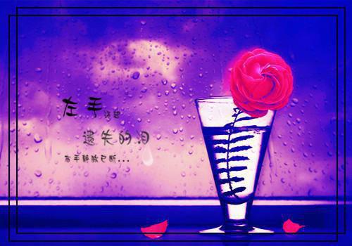 盖世夜尊最新章节_盖世夜尊全文免费阅读