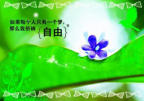 精彩小说四合院:那年那人那些事免费许平安全文免费阅读