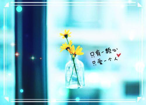 黎映雪凌皓楠最新章节_黎映雪凌皓楠全文免费阅读