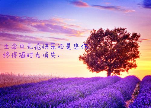 天赐良缘：穿到古代种蘑菇最新章节_天赐良缘：穿到古代种蘑菇全文免费阅读