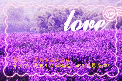 极限积分全文免费萧萧陈景读无弹窗大结局_（极限积分）极限积分最新章节列表（萧萧陈景）