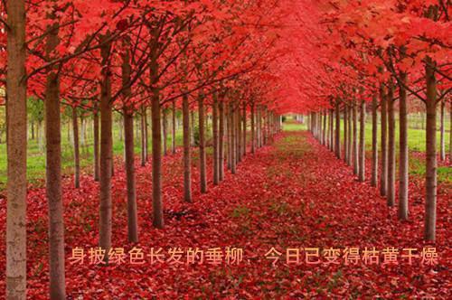 成功之道就掌握在自己手中