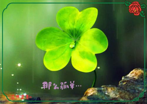高分_乔笙江城小说(脱离世界倒计时)（乔笙江城）全本完整阅读