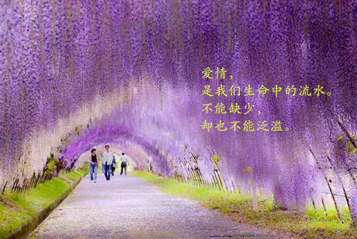《宋艺琳徐擎》年代好文分享阅读_《宋艺琳徐擎》宝藏文学书荒必读分享