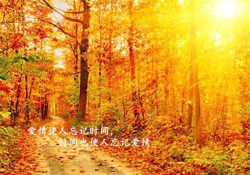 终归意难平小说免费阅读全文，终归意难平小说安小说