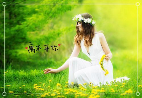 热门小说柳叶儿谢西楼小说最新章节免费阅读-全文柳叶儿谢西楼完结版在线阅读