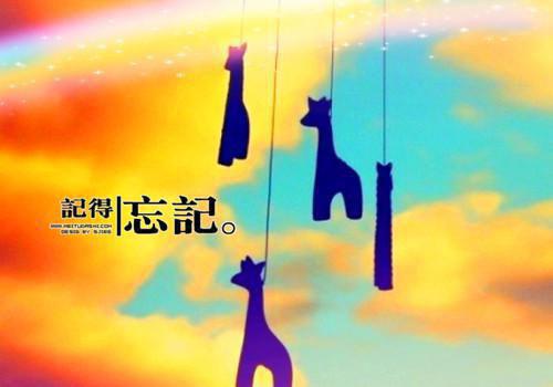 人生感悟文章：横冲直撞的错过