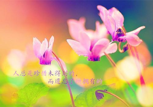 孤儿院纵火后，我抛妻弃子最新章节_孤儿院纵火后，我抛妻弃子全文免费阅读