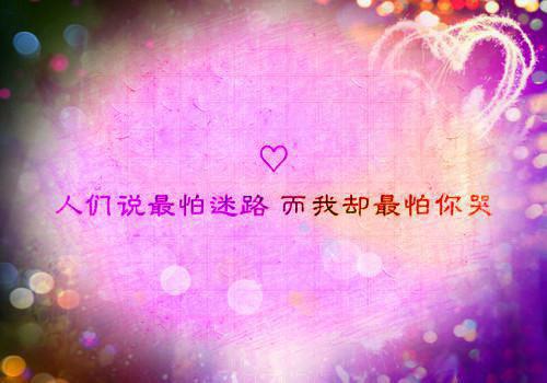 学营销策划必读的书籍排行