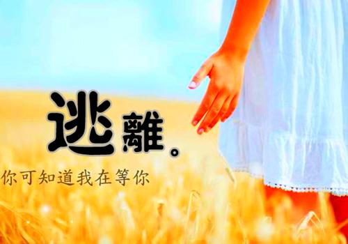 傅彦开沈清微（沈清微傅彦开）全文免费阅读无弹窗大结局_傅彦开沈清微完整版小说阅读（沈清微傅彦开）