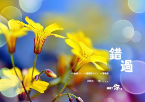 灯下的黄昏小说（陈家谅江烛陈灯）全文免费阅读无弹窗大结局_（情缘笔灯下的黄昏陈家谅江烛陈灯（灯下的黄昏）全文免费阅读无弹窗大结局_(灯下的黄昏)陈家谅江烛陈灯最新章节列表（灯下的黄昏）
