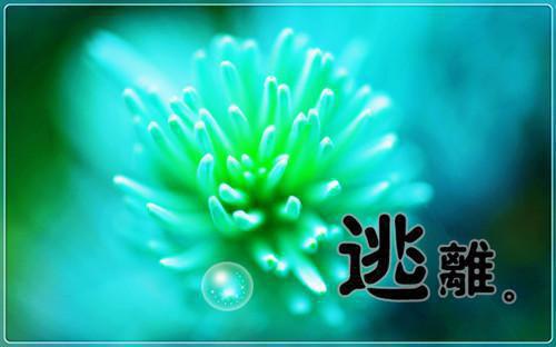 司机应聘简历