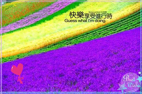 高考励志文艺宣言