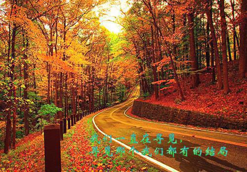 不误当年镜中花最新章节_不误当年镜中花全文免费阅读