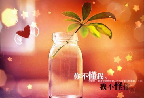 外贸行业求职英文简历表格