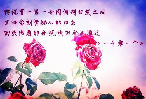 工程师个人简历范文